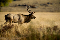 RockyMtnNtnlPark-0533