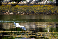 _DSC6059