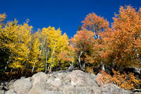 RockyMtnNtnlPark-0674