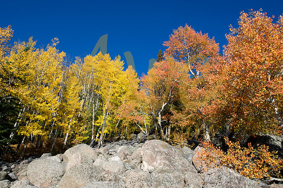 RockyMtnNtnlPark-0674